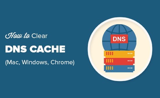 How to Clear DNS Cache in Windows 11