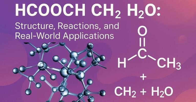HCOOCH CH2 H2O methyl formate hydrolysis reaction